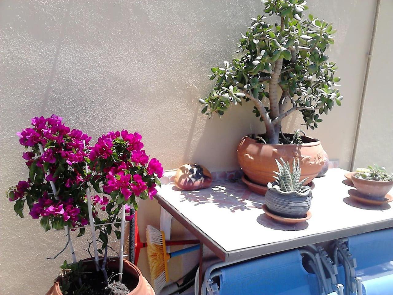 Park House -beside The Medieval Town Of Rhodes Rhodes City